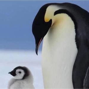 Meet your Posher, Ledale